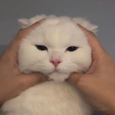 Phạm Đình Bảo avatar