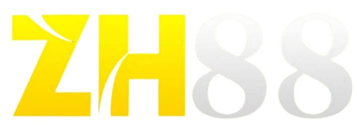 vnzh88.com Logo